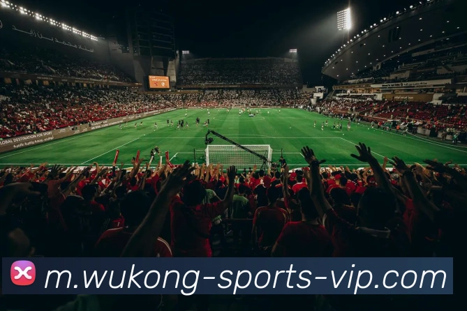 悟空体育APP 封面图